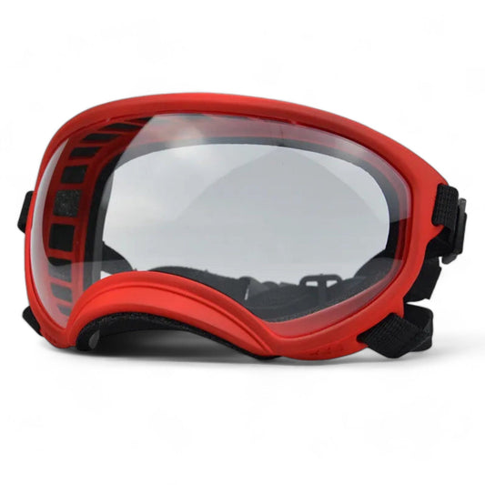 Rynx | Pup sunglasses