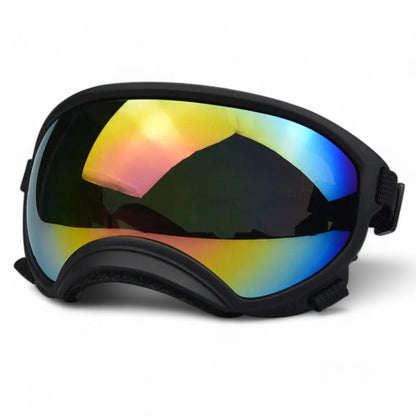 Rynx | Pup sunglasses