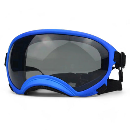 Rynx | Pup sunglasses