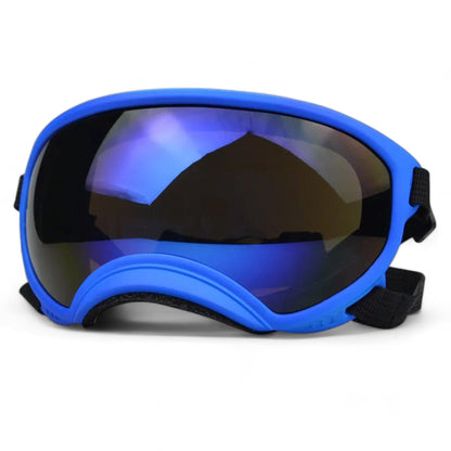 Rynx | Pup sunglasses