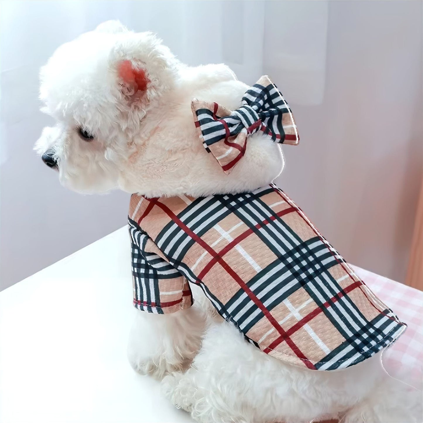 Rynx | Pet chic jacket