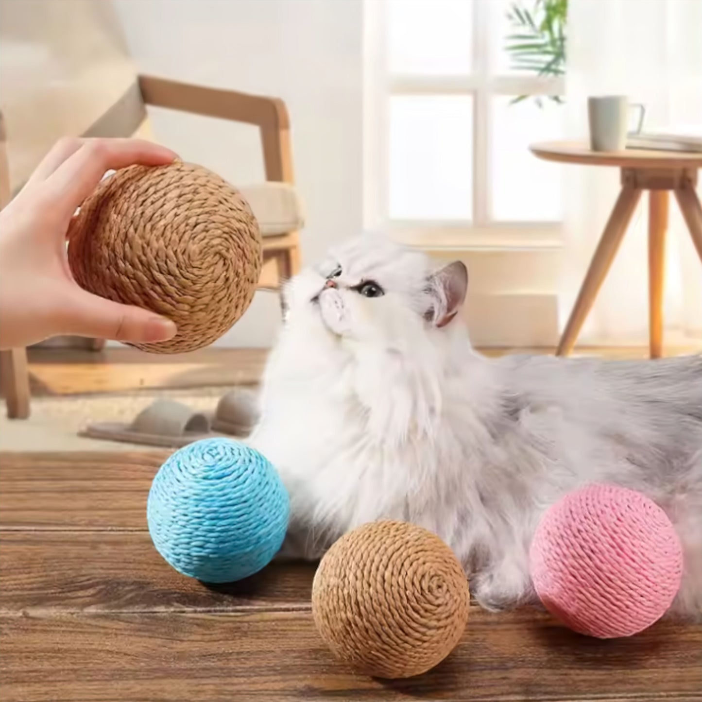 Rynx | activity ball