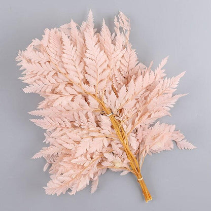 Rynx | Alpine Serenity Fern Decor Kit: Bring the Essence of Nature Indoors