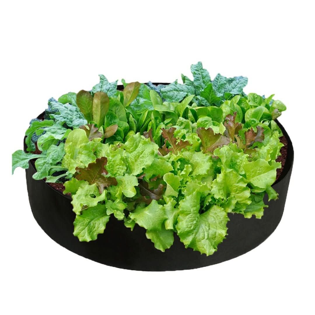 Rynx | Cultivation Box - Mini Kitchen Garden for Every Home