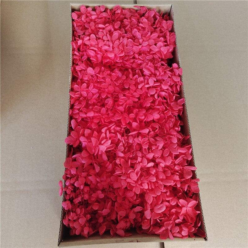 Rynx | Eternal Charm Hydrangea Tower Arrangement - A floral elegance for all occasions
