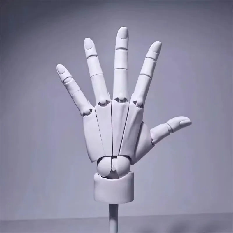 Rynx | Multi-Pose Drawing Sculpting Art Hand Model