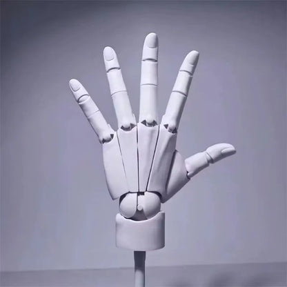 Rynx | Multi-Pose Drawing Sculpting Art Hand Model