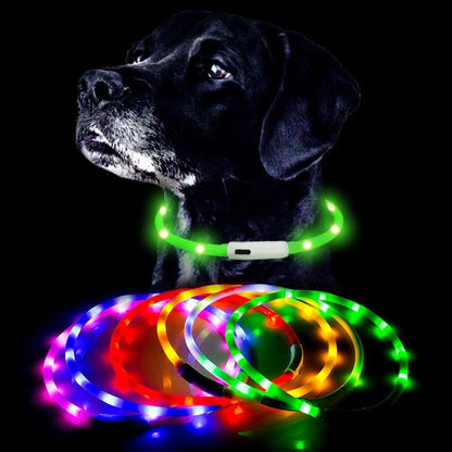 Rynx | Illuminated rechargeable USB dog grooming for optimal night safety and visibility