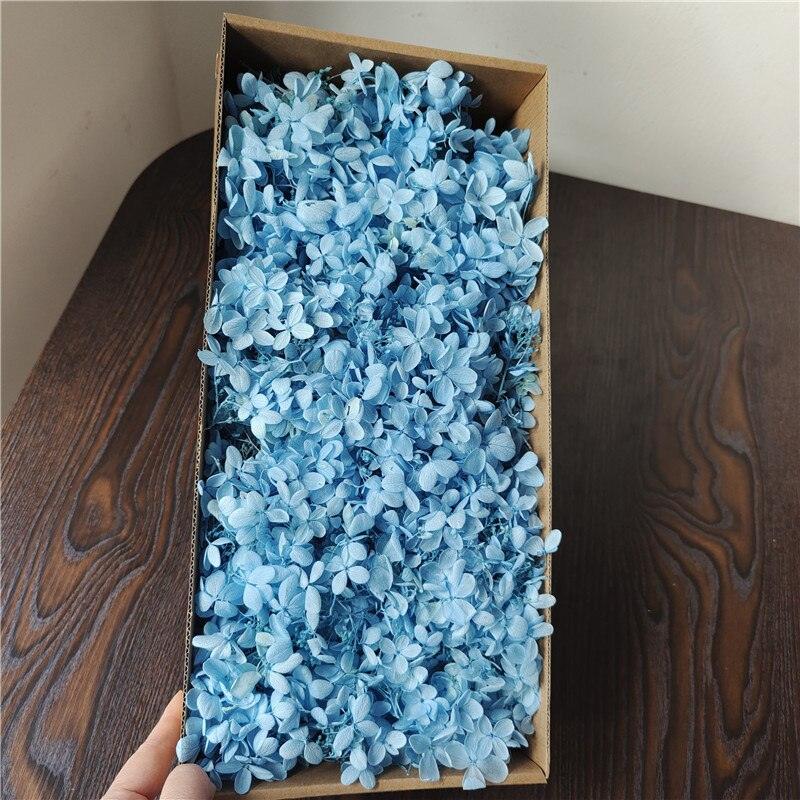 Rynx | Eternal Charm Hydrangea Tower Arrangement - A floral elegance for all occasions