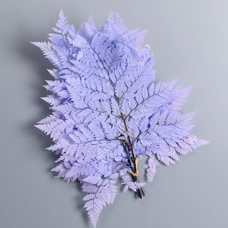 Rynx | Alpine Serenity Fern Decor Kit: Bring the Essence of Nature Indoors