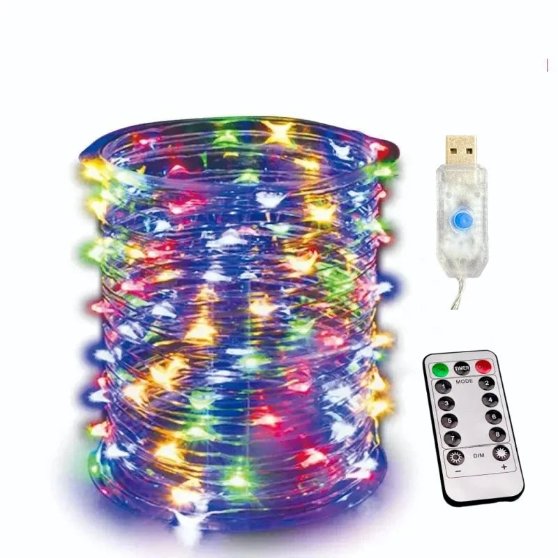 Rynx | Copper wire fairy lights
