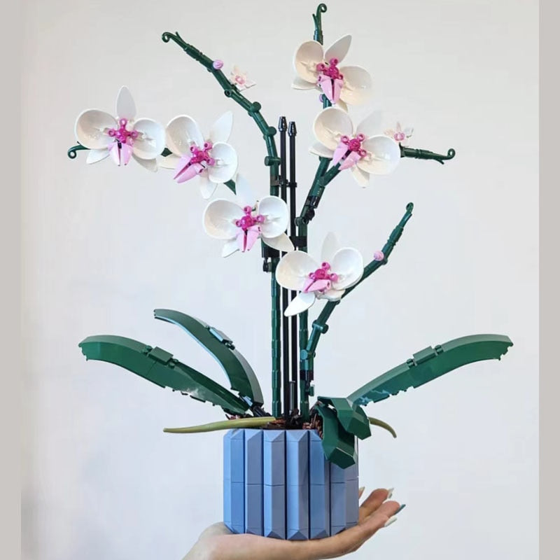 Rynx | Botanical Collection Decor