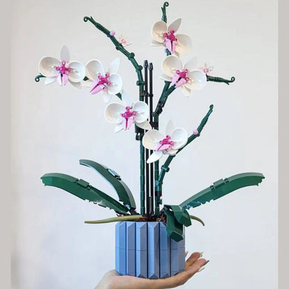 Rynx | Botanical Collection Decor