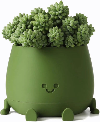 Rynx | Self-watering Flower Pot – Cute face with flexible legs!