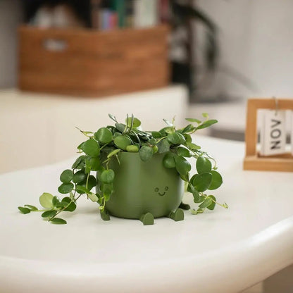 Rynx | Self-watering Flower Pot – Cute face with flexible legs!