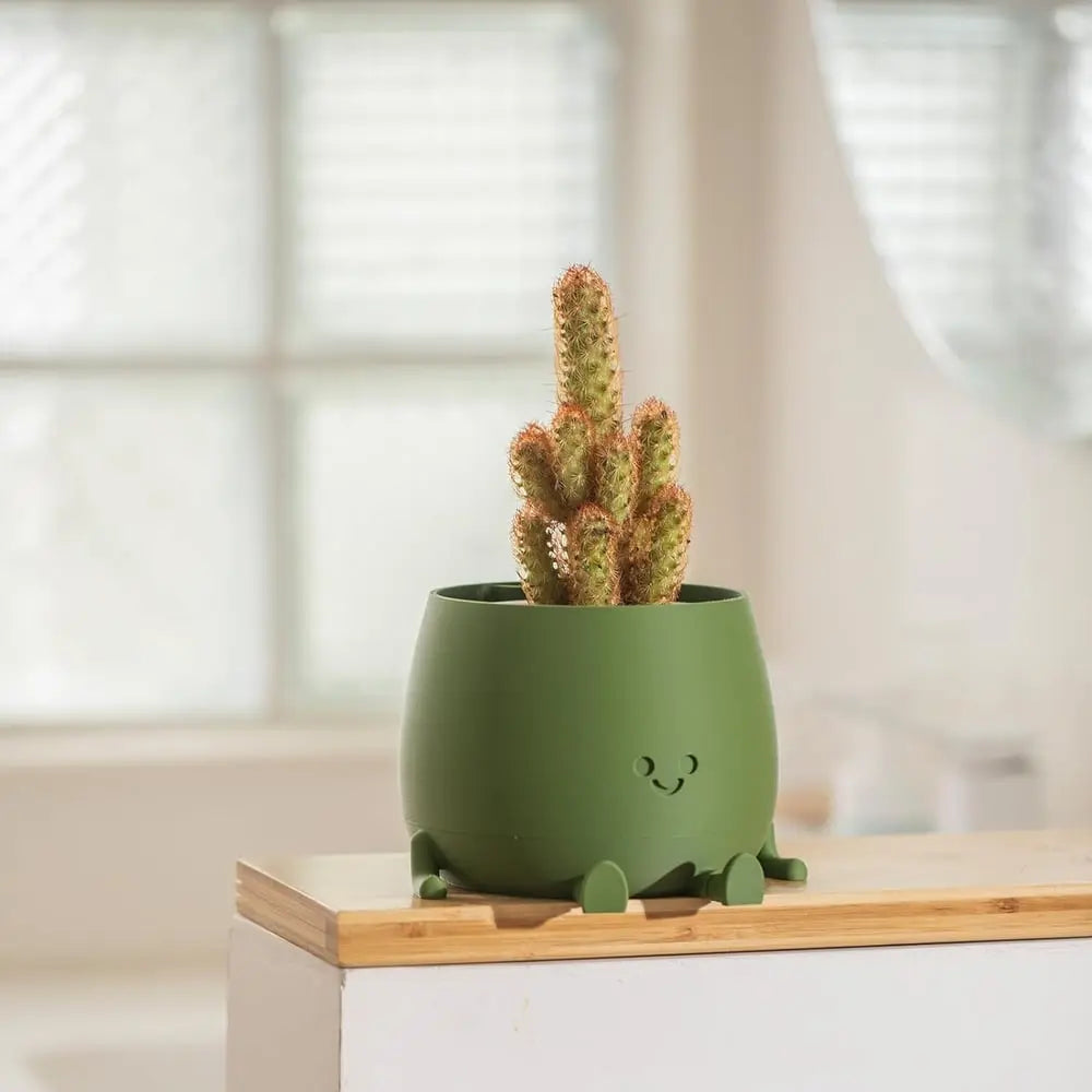 Rynx | Self-watering Flower Pot – Cute face with flexible legs!