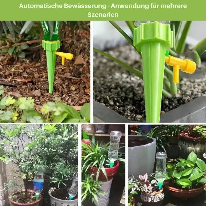 Rynx | Self-watering Spike for Automatic Plant Care