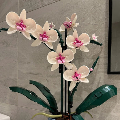 Rynx | Botanical Collection Decor