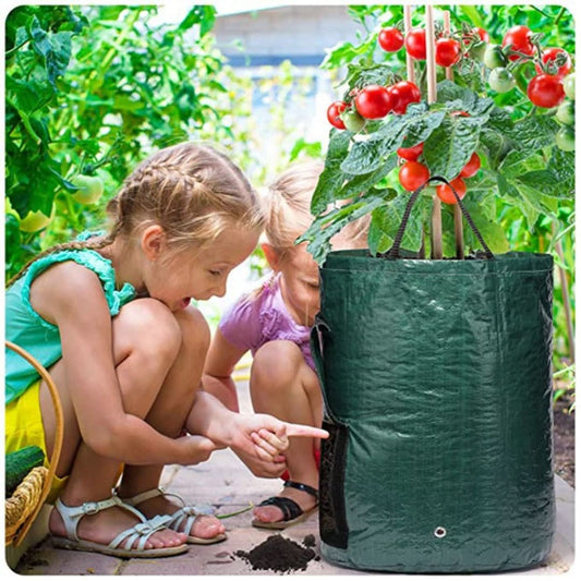 Rynx | Minigarden - Vegetables And Plant Grow Bags