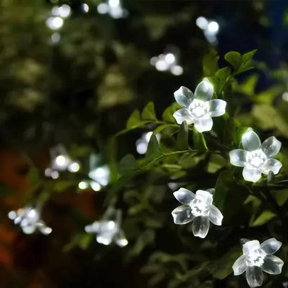Rynx | SolarFlora - Sunlight Garden Flower Decoration