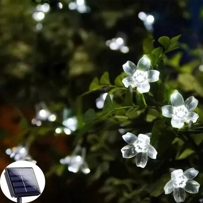 Rynx | SolarFlora - Sunlight Garden Flower Decoration