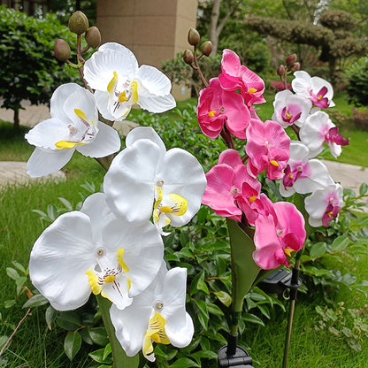 Rynx | Solar-powered orchid flower stake light