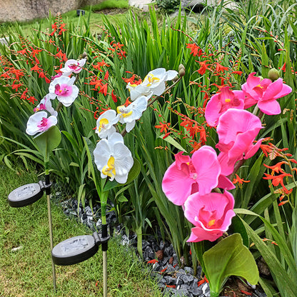 Rynx | Solar-powered orchid flower stake light