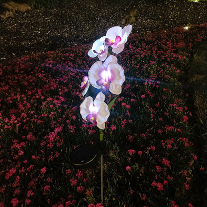 Rynx | Solar-powered orchid flower stake light