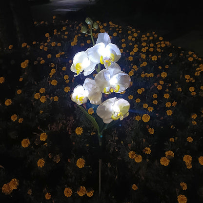 Rynx | Solar-powered orchid flower stake light