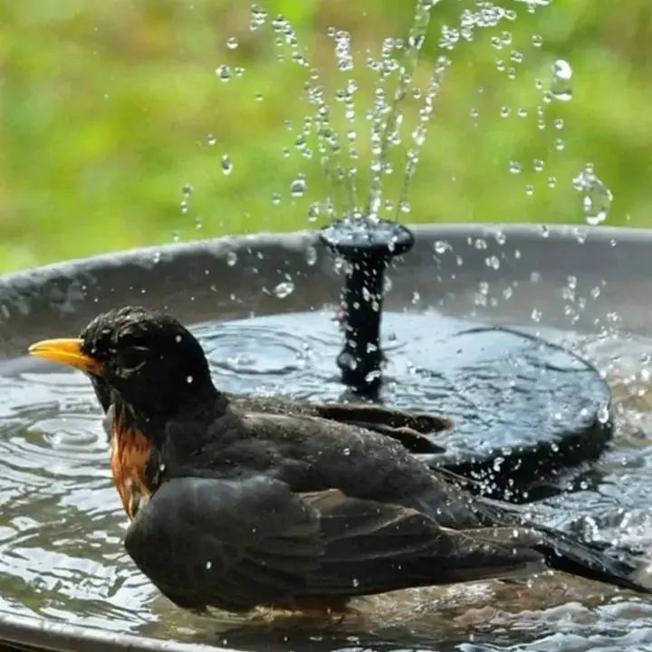 Rynx | Solar-powered Floating Garden Fountain