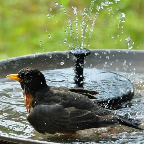 Rynx | High Quality Solar Fountain for Your Garden – Relax in Peace
