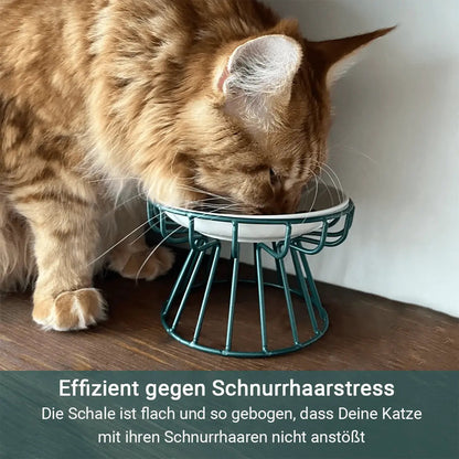 Rynx | Stress-free and healthy ergonomic cat bowl – Set of stand and bowl