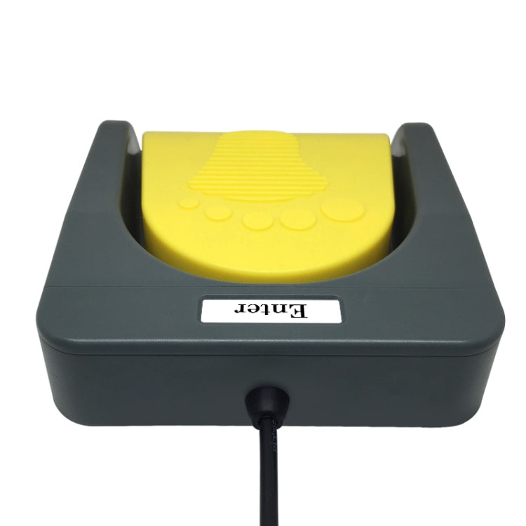 Rynx | Pcsensor USB foot pedal control switch keyboard adapter for computer, model: FS2016