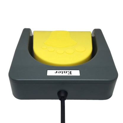 Rynx | Pcsensor USB foot pedal control switch keyboard adapter for computer, model: FS2016