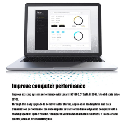Rynx | Lexar NS100 2.5 inch SATA3 Notebook Desktop SSD Solid State Drive, Capacity: 256GB (Gray)