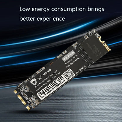 Rynx | JingHai M.2 NGFF SSD Notebook Desktop Solid State Drive, Capacity: 512GB