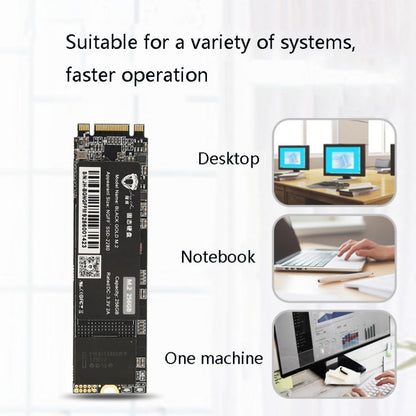 Rynx | JingHai M.2 NGFF SSD Notebook Desktop Solid State Drive, Capacity: 512GB