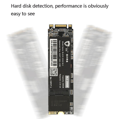 Rynx | JingHai M.2 NGFF SSD Notebook Desktop Solid State Drive, Capacity: 512GB