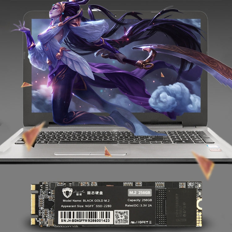 Rynx | JingHai M.2 NGFF SSD Notebook Desktop Solid State Drive, Capacity: 512GB