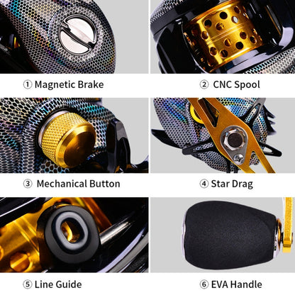 Rynx | PROBEROS Metal Drop Wheel 18+1 Axis Lure Fish Wheel, Style: DW132PR Right Hand