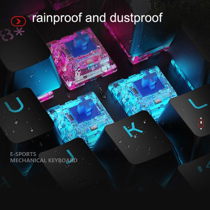 Rynx | LANGTU K1000 104 Keys Illuminated Wired Keyboard, Cable Length: 1.5 m (Black Black Axis Mixed Light)