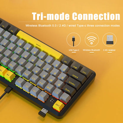Rynx | Ajazz K870T Pro 87 Keys Three-Mode Wireless/Bluetooth/Wired Pluggable RGB Mechanical Keyboard Red Shaft (Black)
