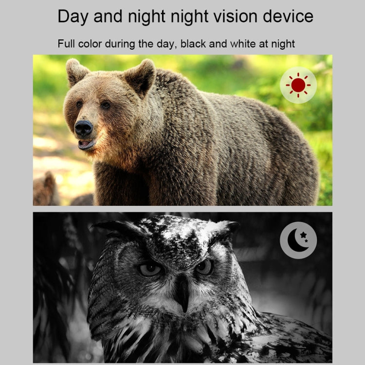 Rynx | APEXEL 3-inch LCD HD Screen Photo Video Portable Binoculars Digital Infrared Night Vision Device(APL-NV009)