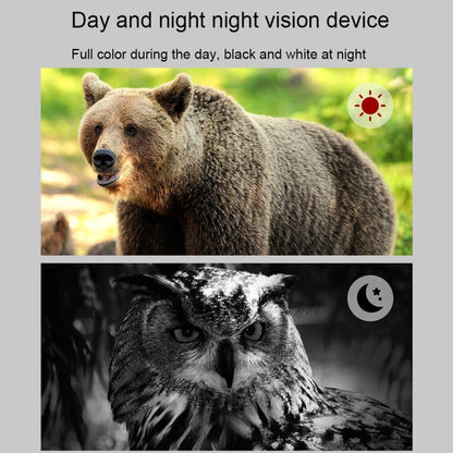 Rynx | APEXEL 3-inch LCD HD Screen Photo Video Portable Binoculars Digital Infrared Night Vision Device(APL-NV009)