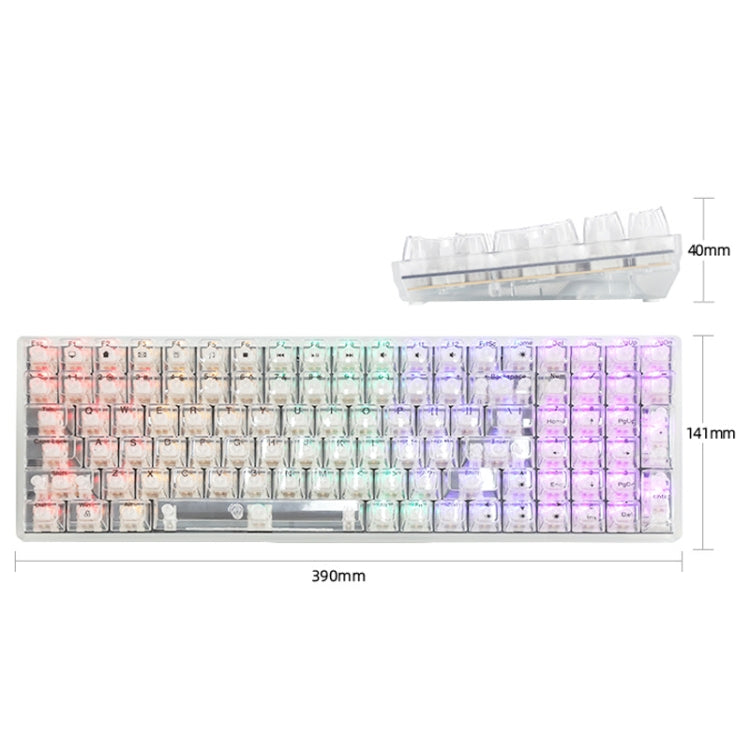 Rynx | 100 Keys Customizable Gaming Wired Mechanical Keyboard Transparent Key Red Axis (Black)