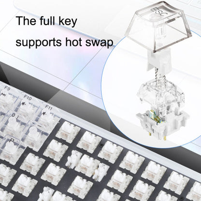 Rynx | 100 Keys Customizable Gaming Wired Mechanical Keyboard Transparent Key Red Axis (Black)