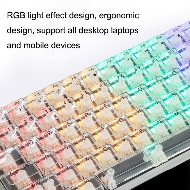 Rynx | 100 Keys Customizable Gaming Wired Mechanical Keyboard Transparent Key Red Axis (Black)