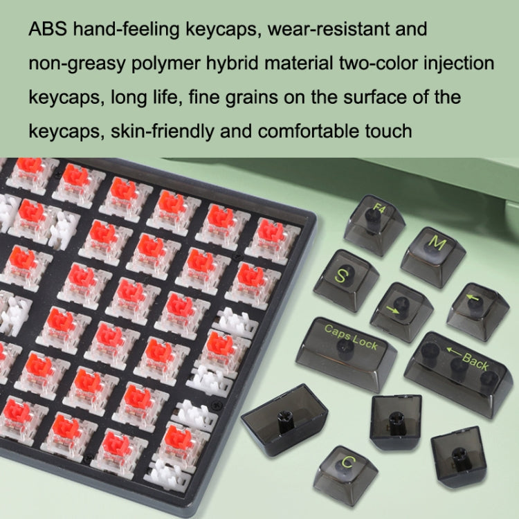 Rynx | 100 Keys Customizable Gaming Wired Mechanical Keyboard Transparent Key Red Axis (Black)