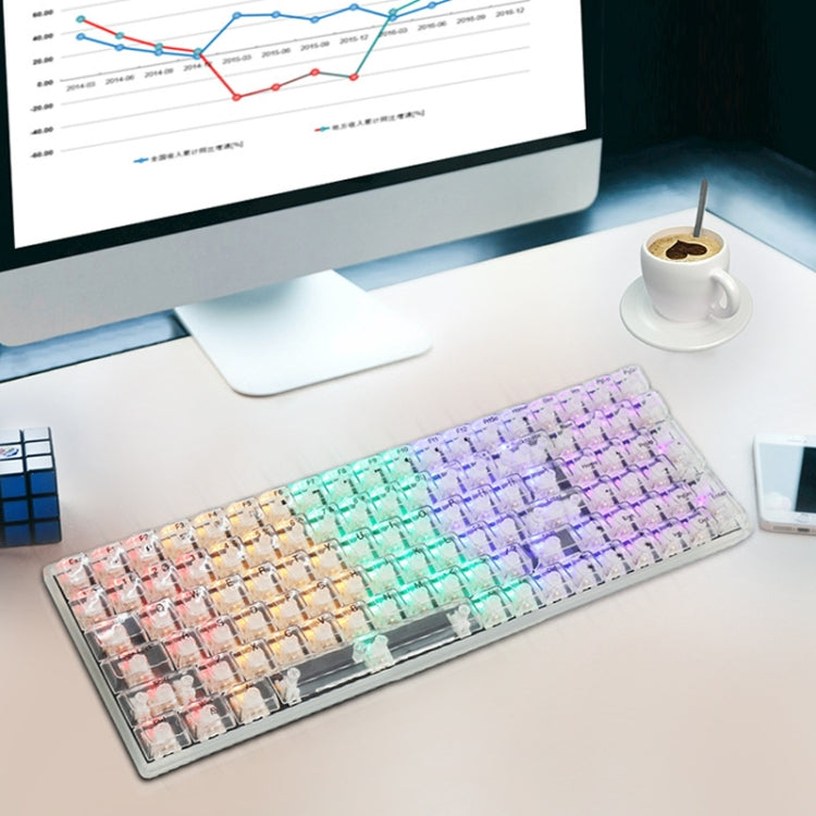 Rynx | 100 Keys Customizable Gaming Wired Mechanical Keyboard Transparent Key Red Axis (Black)