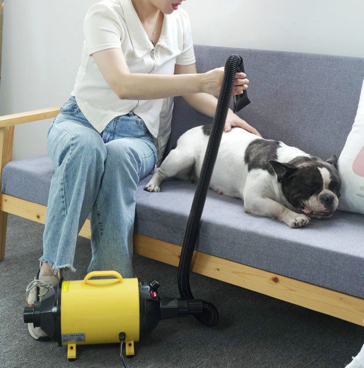 2100W Dog Dryer Stepless Speed Pet Hair Dryer With Vacuum 220V AU Plug (Pure Yellow)